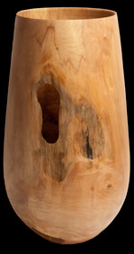 sycamore vase